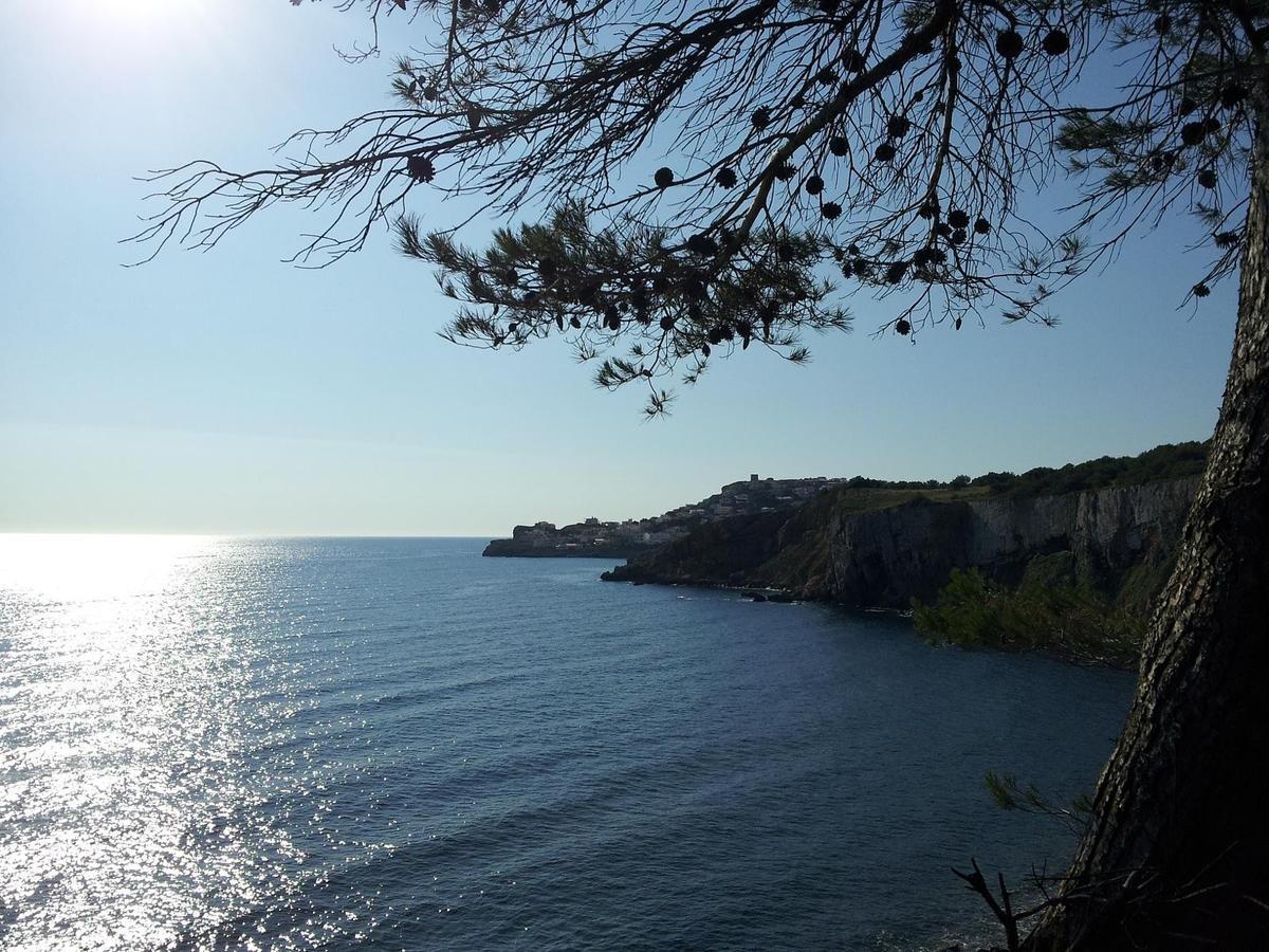 Riells De Mar * L' Escala