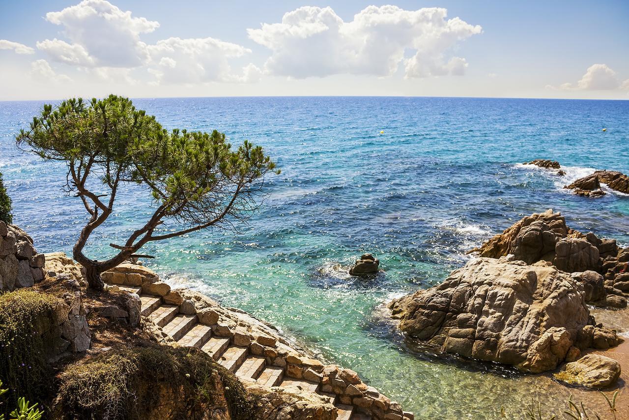 Bertur Gran Reserva Comte Empuries