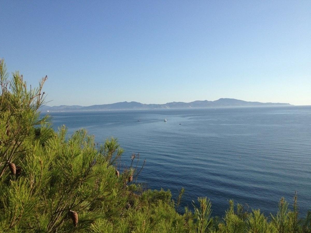 Apartment Puig Sureda - *