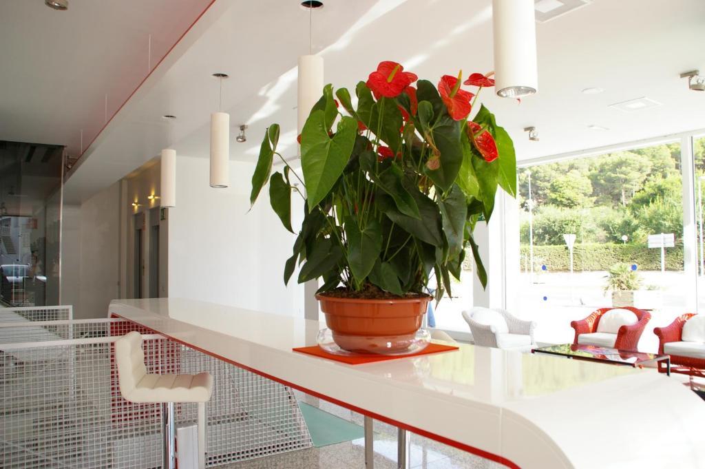 Centremar Apartamento L'Estartit