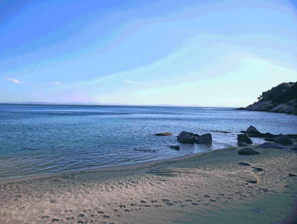 Canyelles Platja Hotel 4*
