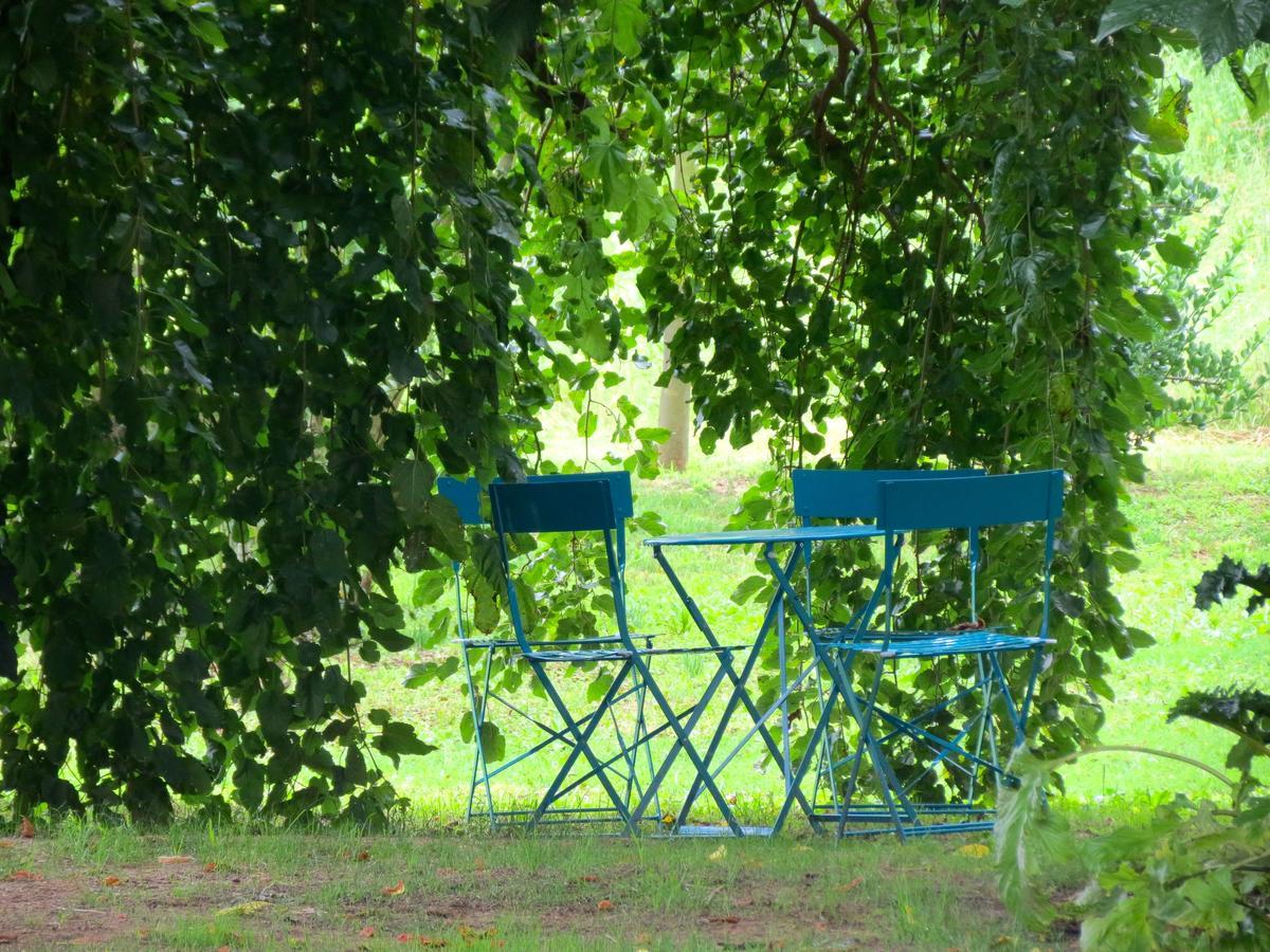 Mas Carreras 1846 Holiday home