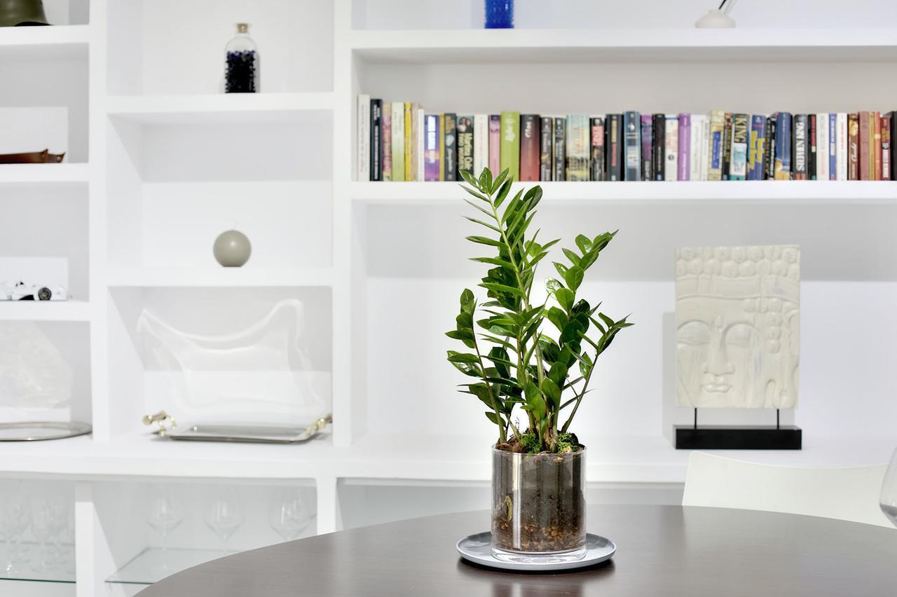Sequia Deluxe Apartment Girona