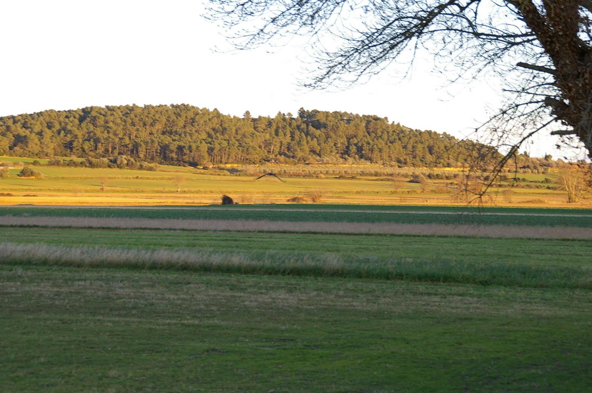 Casa rural Els Masos D'en Coll Llaviá