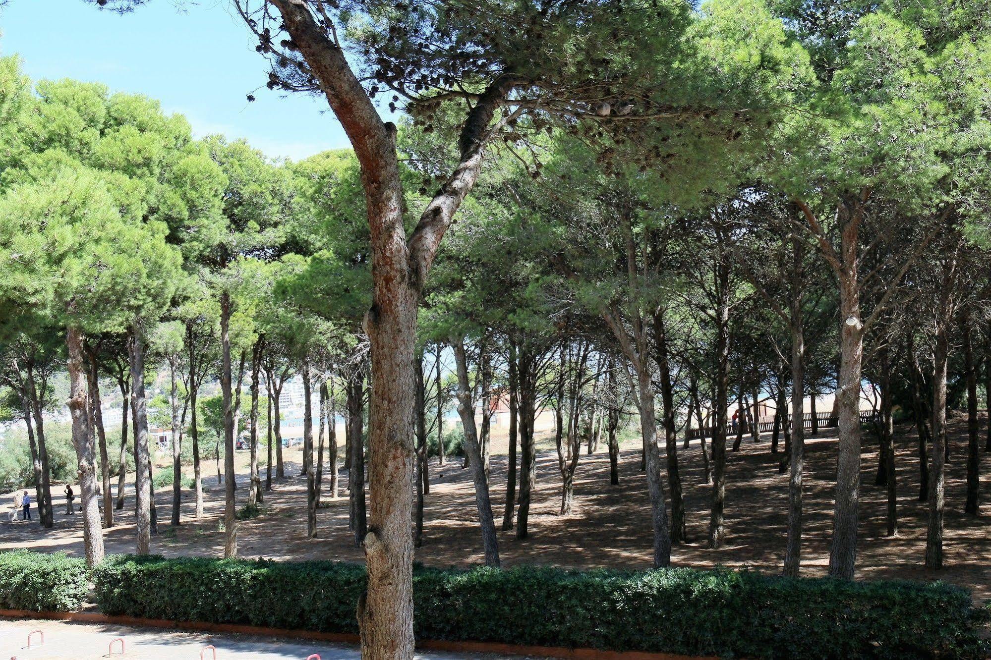 Apartment Rvapartaments La Pineda *
