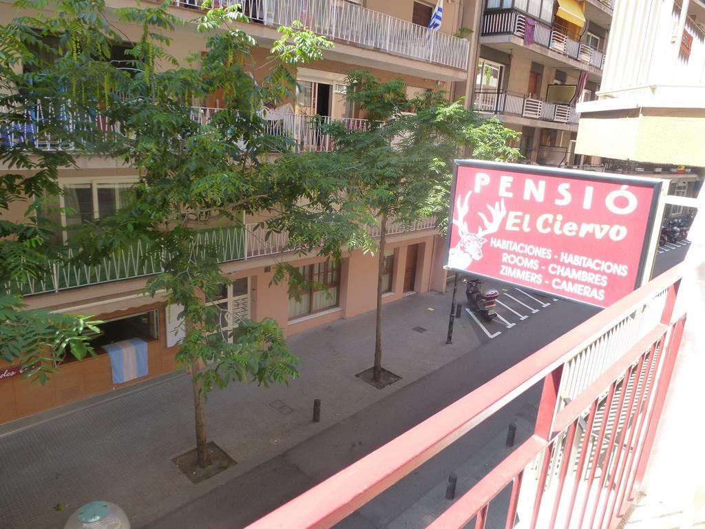 Guest house El Ciervo *