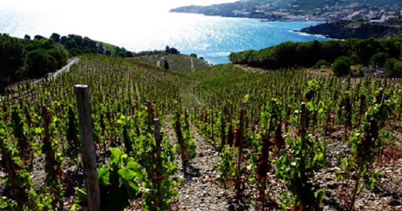 Breathtaking Costabrava Seaview 5m - Casa Artevida * Roses