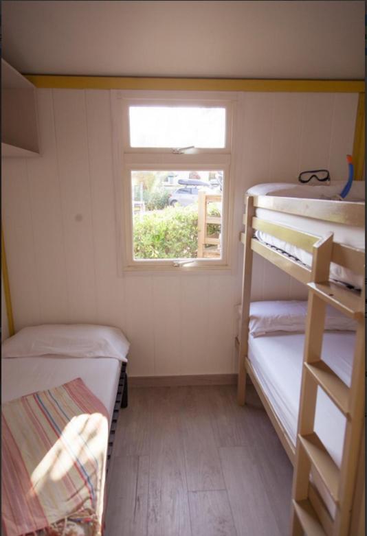 Campsite Senia Tucan