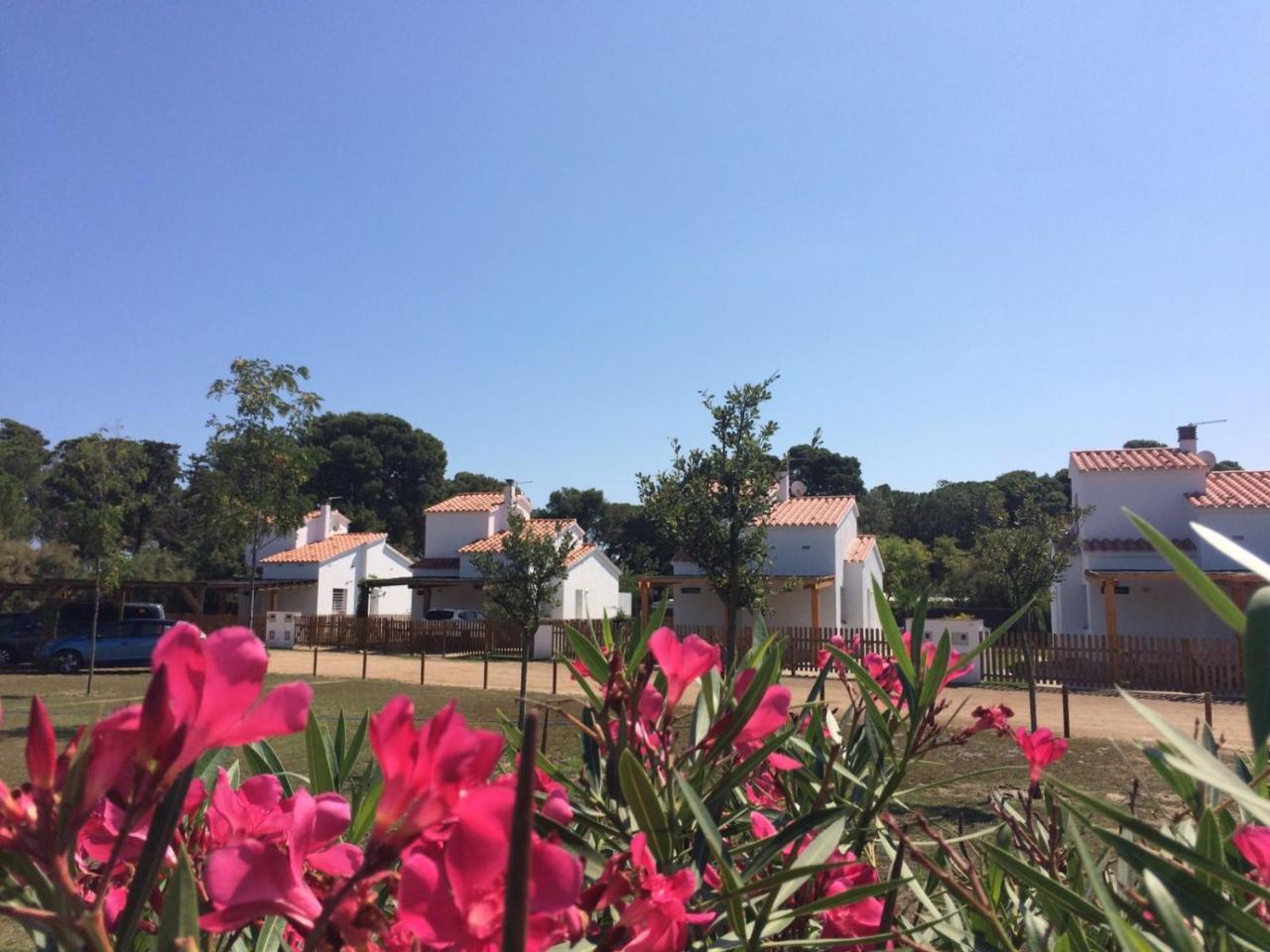 Empúries Villa