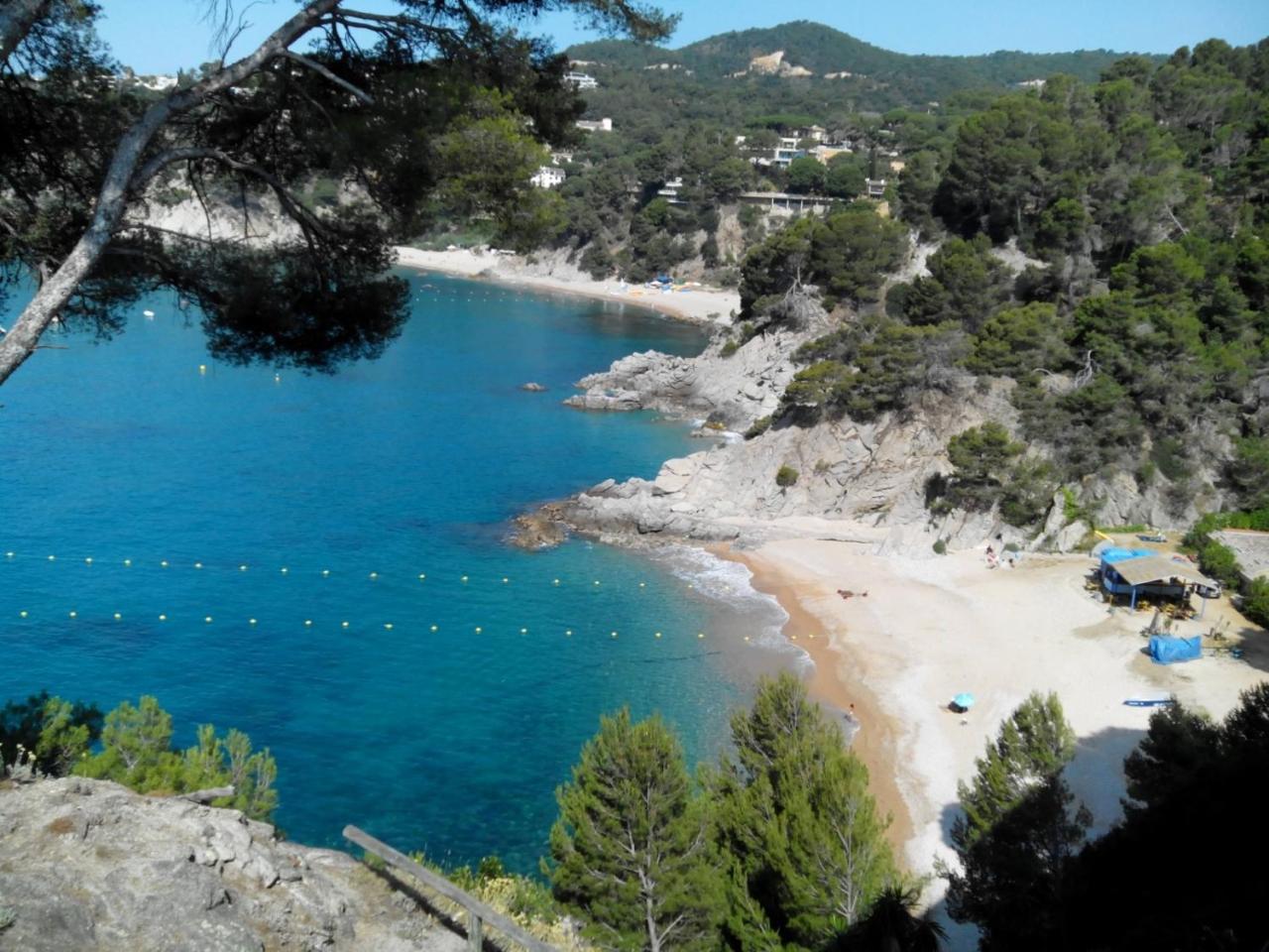 Apartment Front De Mer