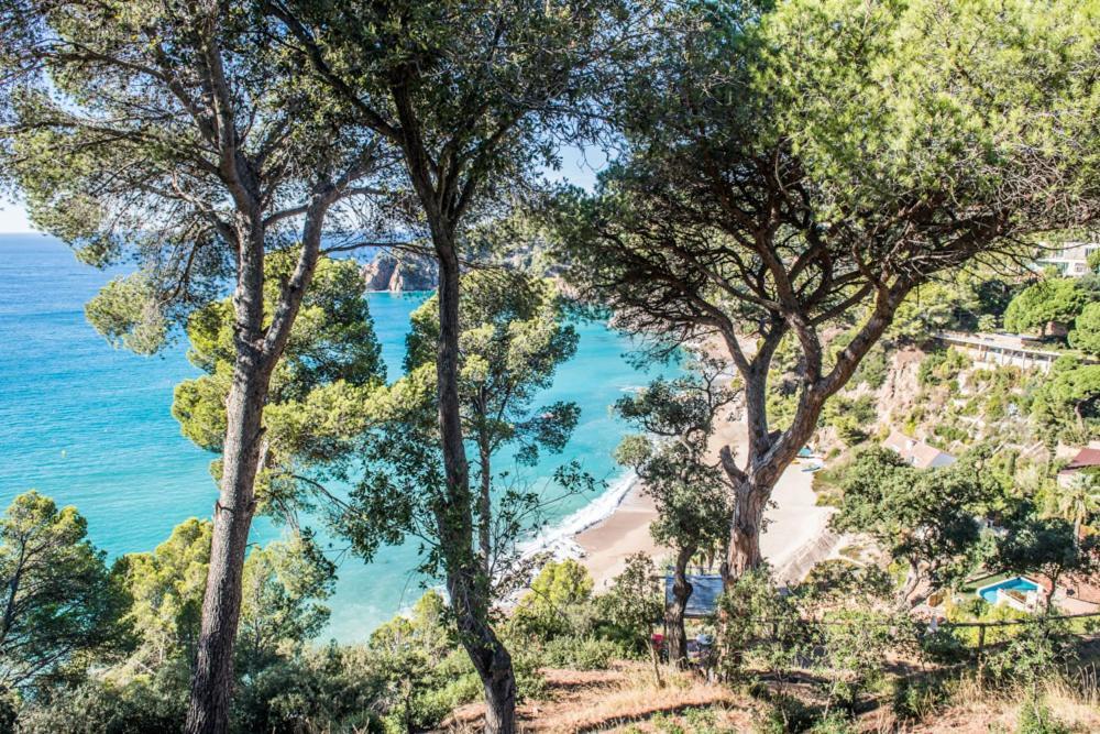 Camping Camping Sunissim Cala Llevado 4 By Locatour Tossa de Mar