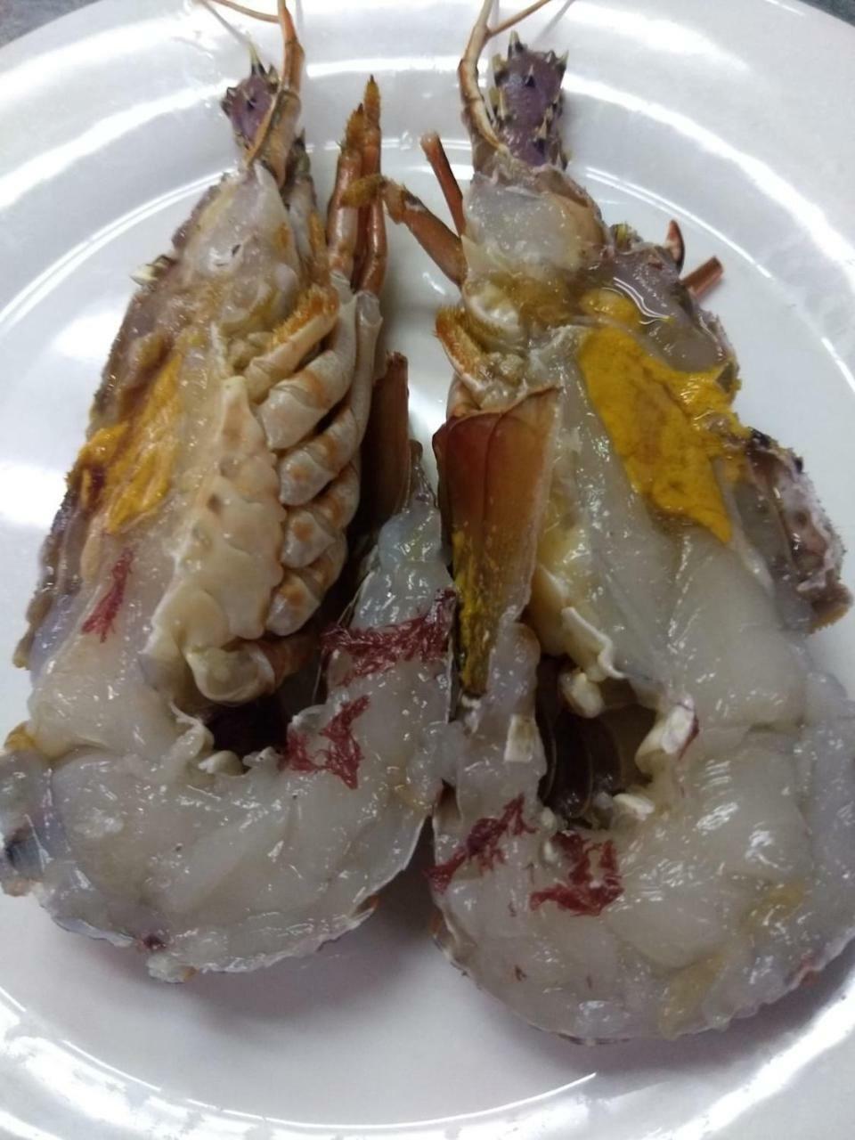 Restaurante El Roser Pensión L' Escala