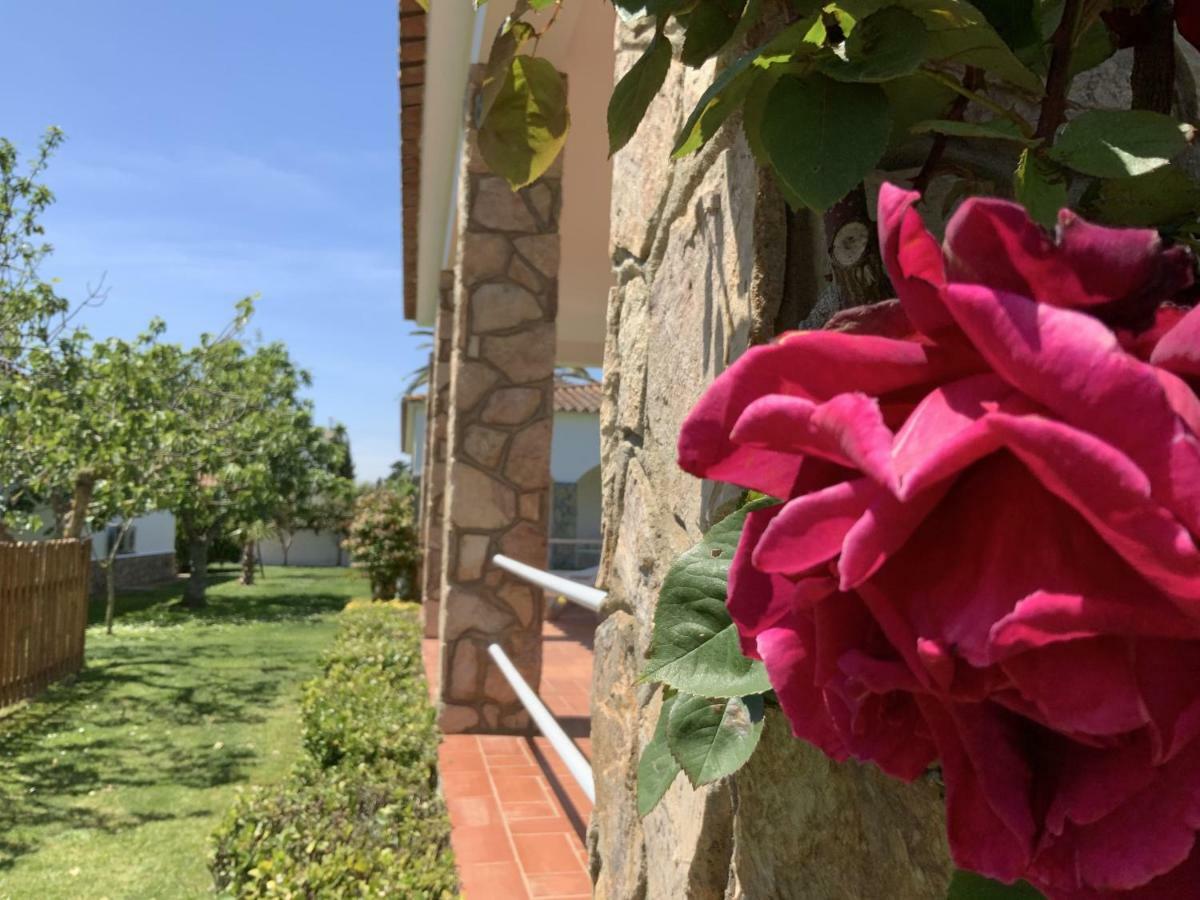 Maria, Terrace & Pool Holiday home *