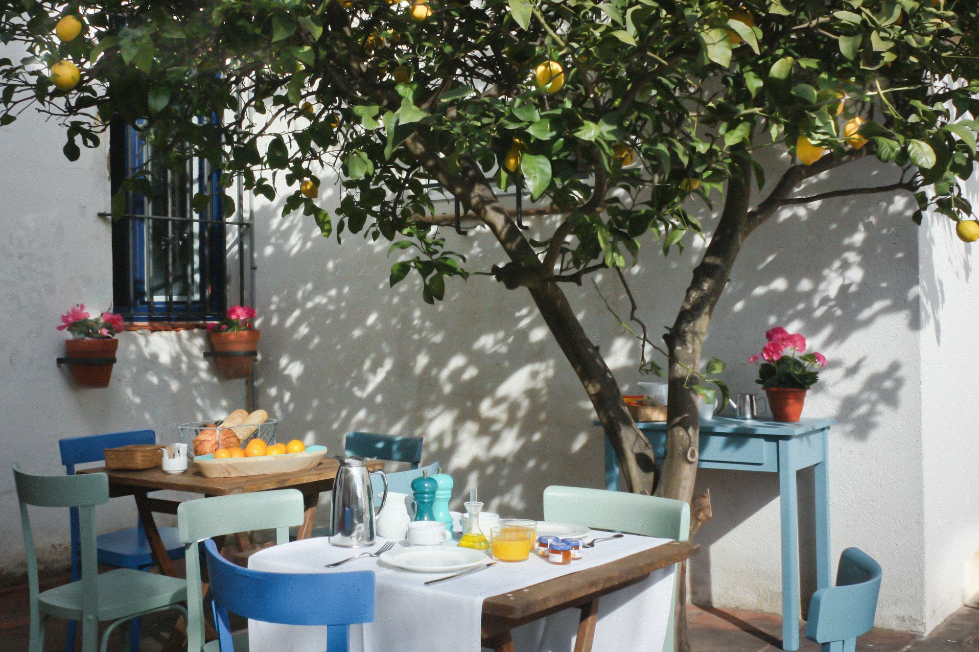 Casa Calella Bed and breakfast Calella De Palafrugell