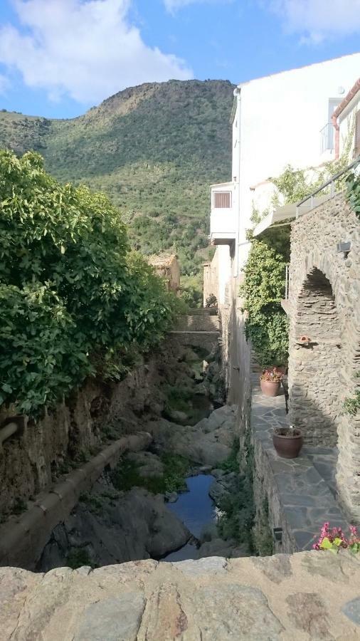 Fonda Felip El Port De La Selva
