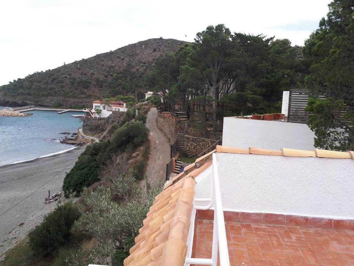 Eurus * Colera
