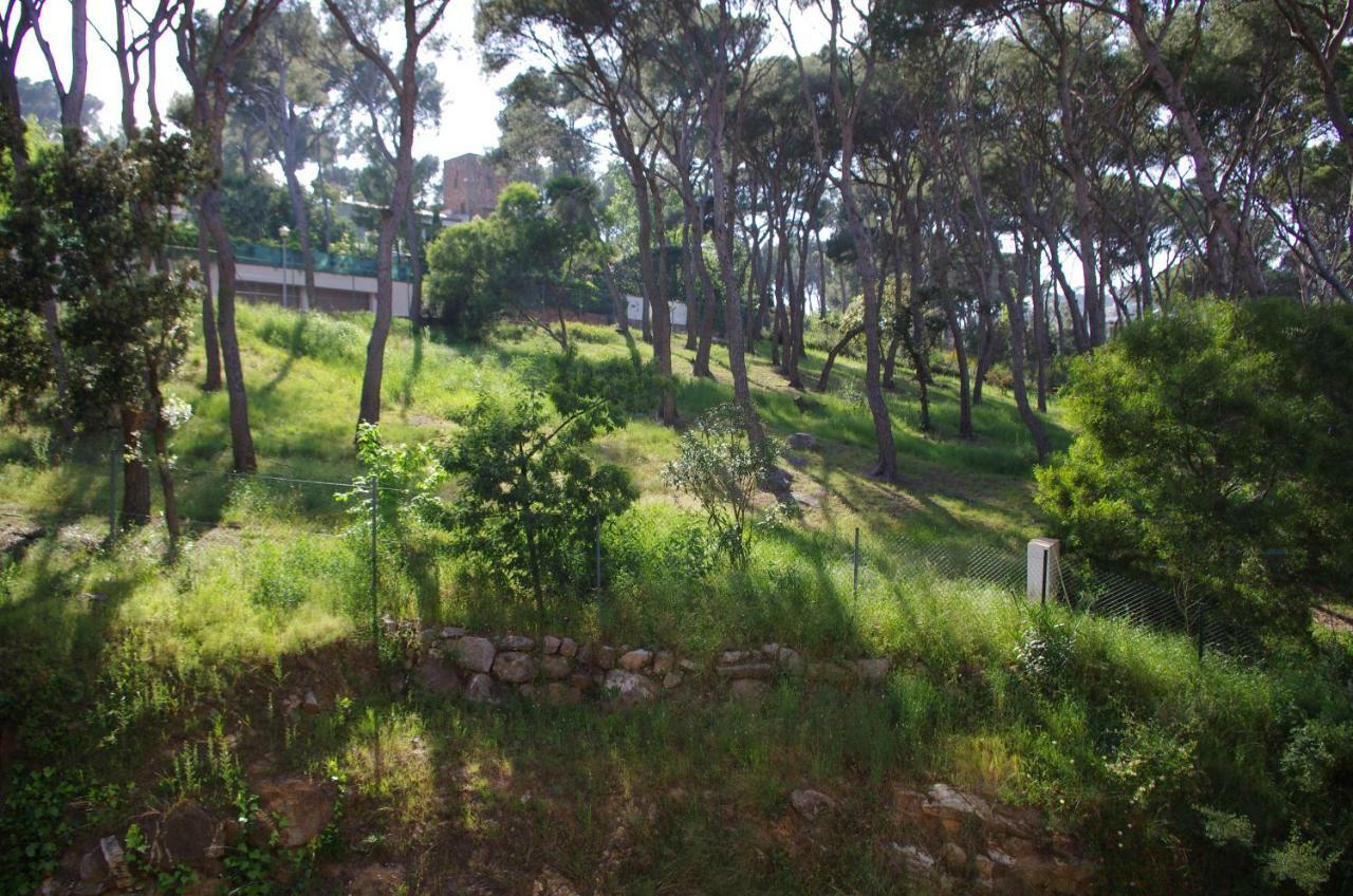 Apartamento Eden Playa Standing Sant Antoni De Calonge