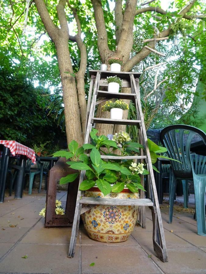 Fonda Felip Guest house *