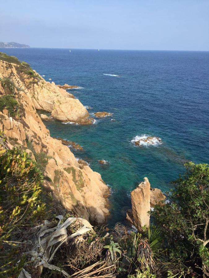 Park Apartamento Blanes