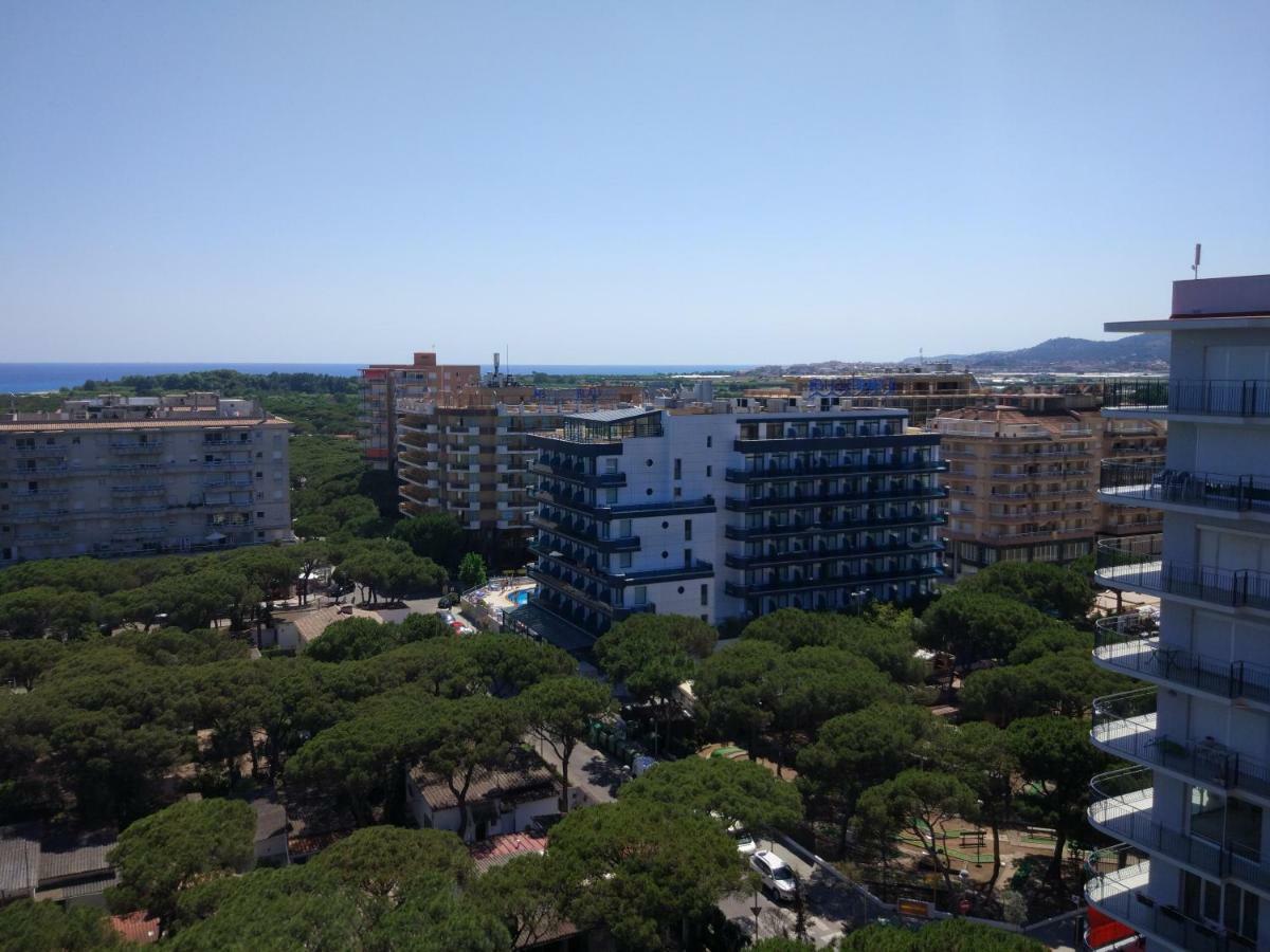 Atico Condal Apartment *