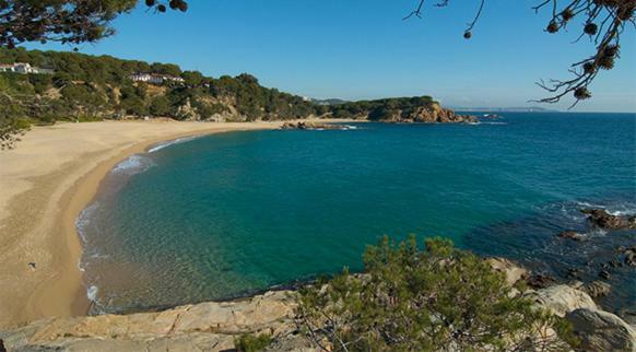 Blue Ocean Apartamento