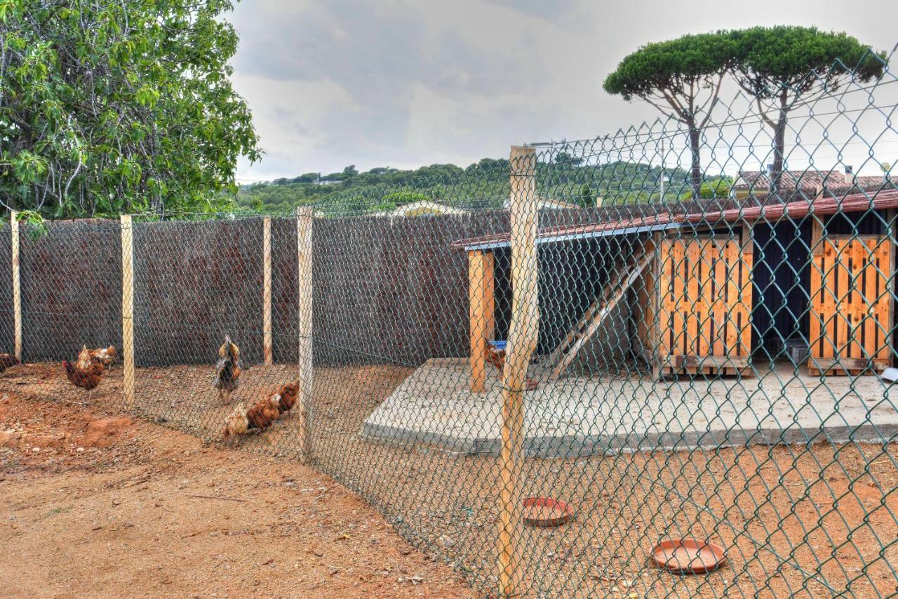 Masia Cal Ros Apartment