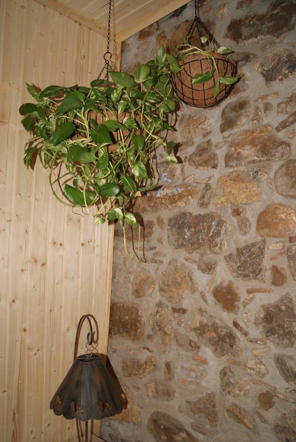 Apartament Codina 40 Apartamento *