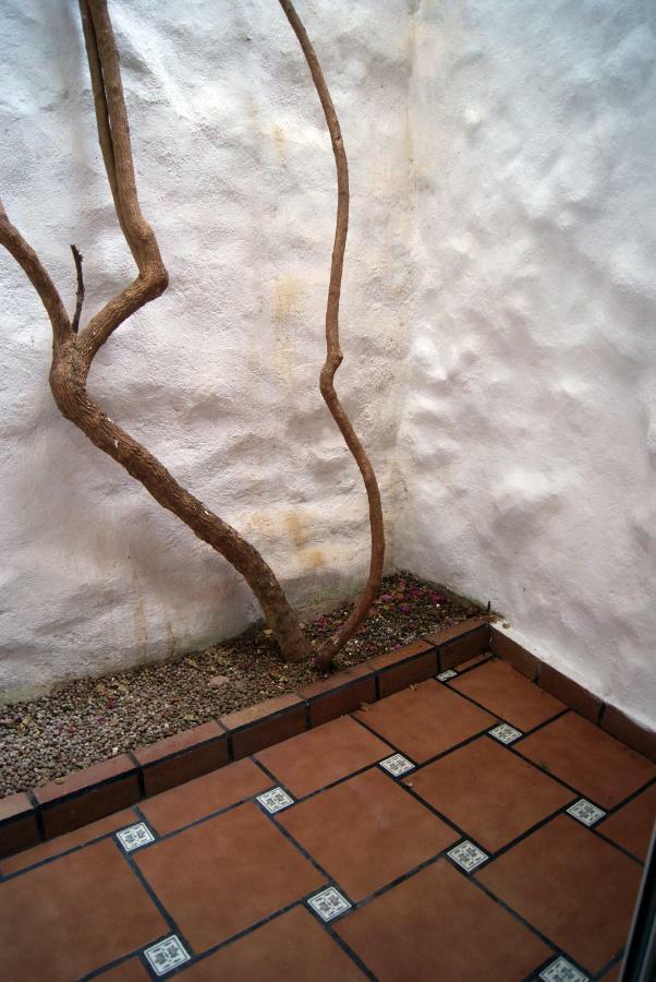 Apartament Codina 40 *