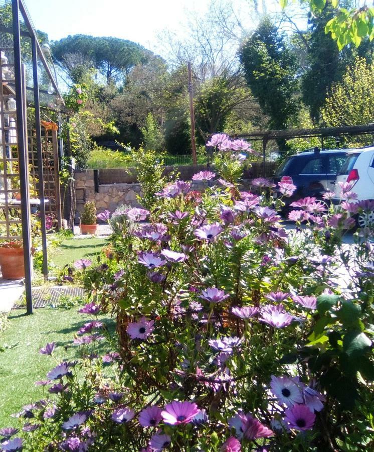 Apartamento Navicgirona Apart *