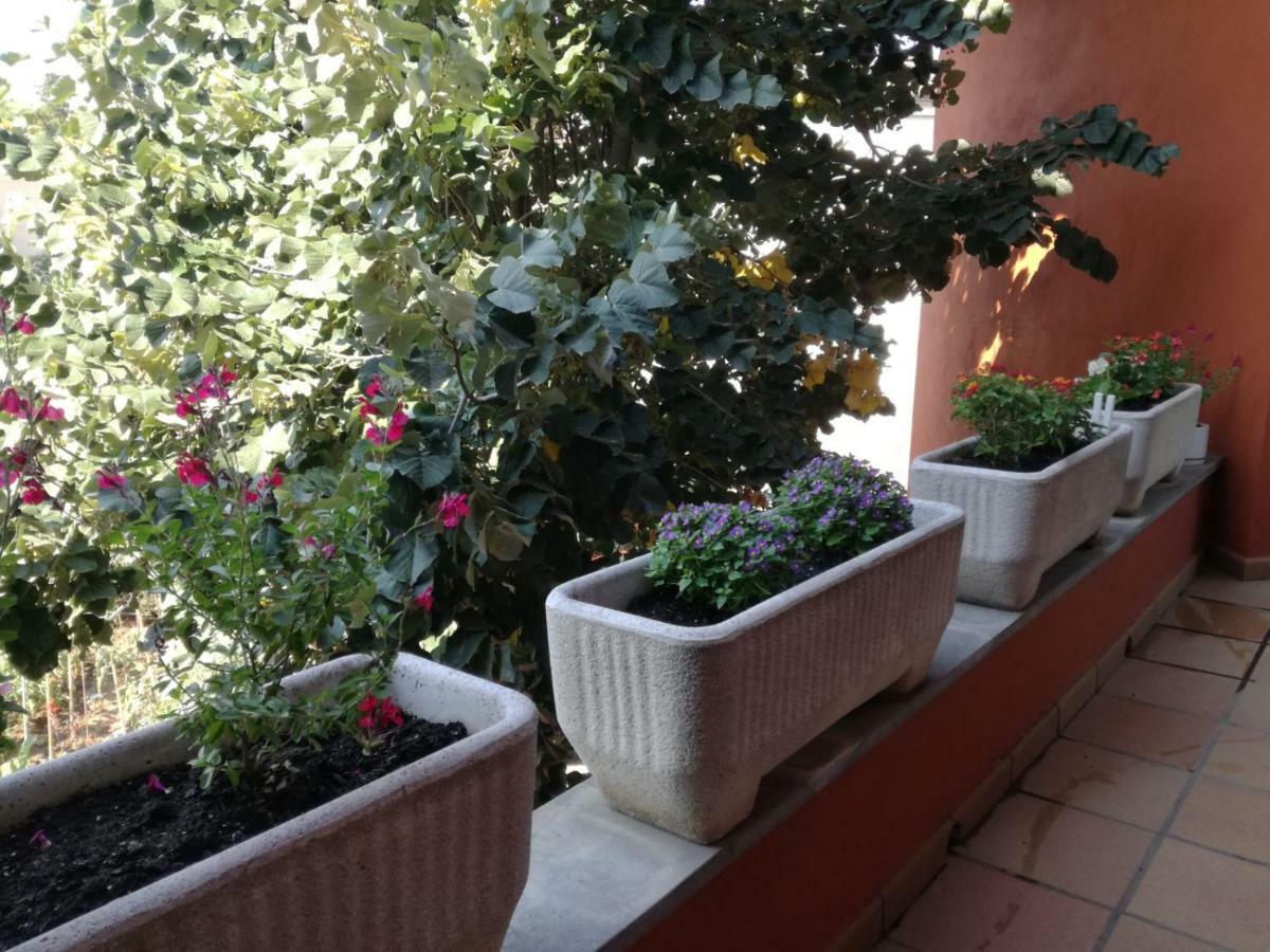 Casa Ferriols 2.0 * Peralada