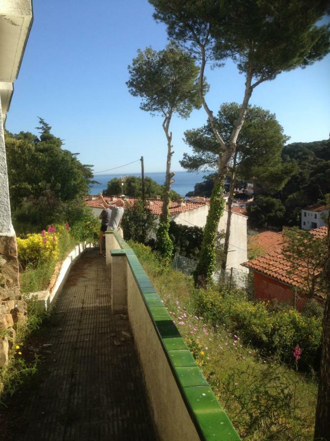 Sol Naixent Sa Riera Begur