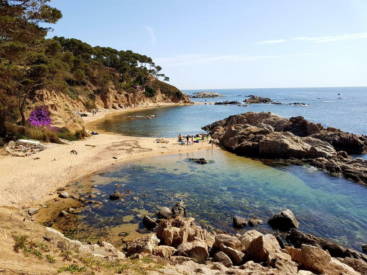 Superior Garoina Palamós