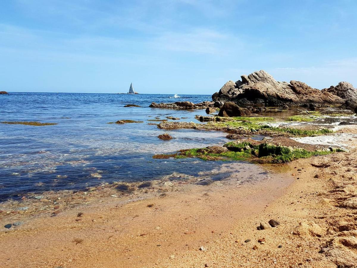 Superior Garoina * Palamós