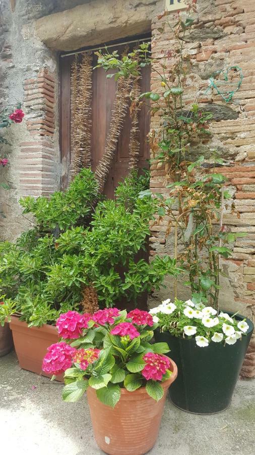 Fonda Felip Guest house El Port De La Selva