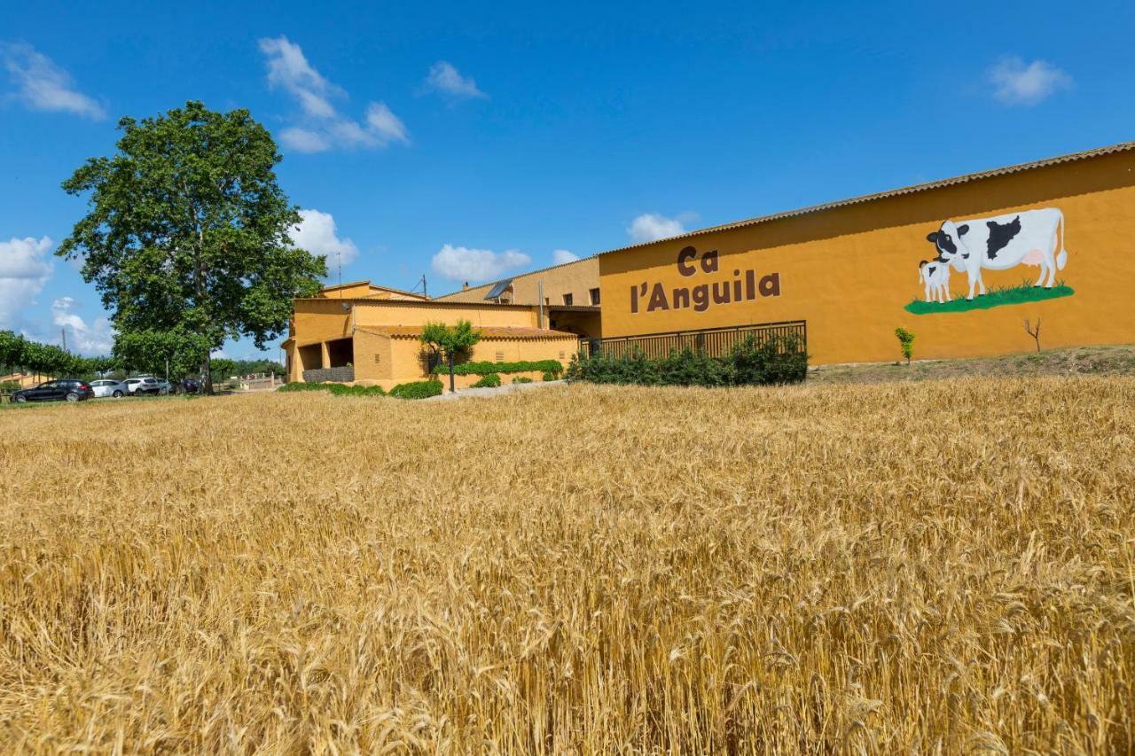 Country house Turisme Rural Ca L,anguila *