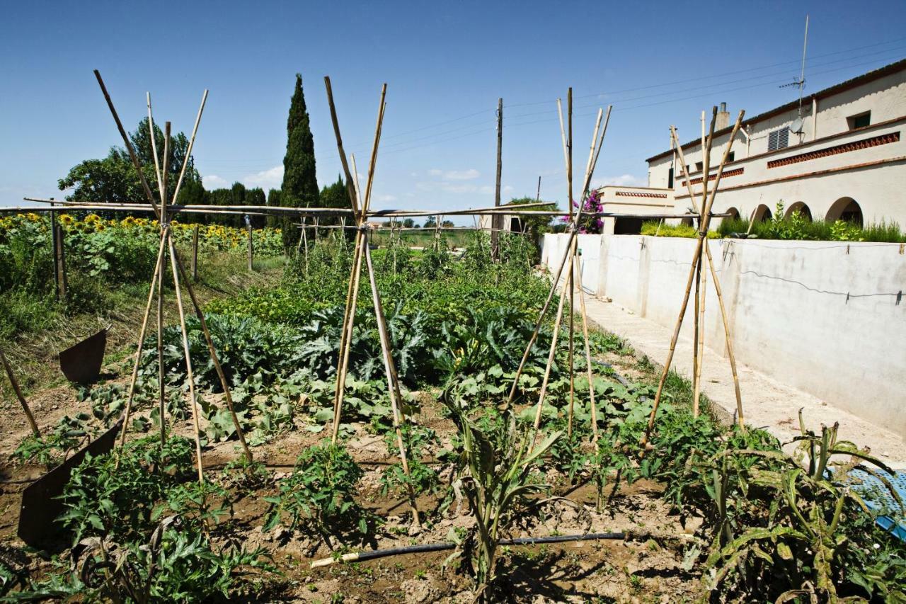 Can Guso Farm stay *