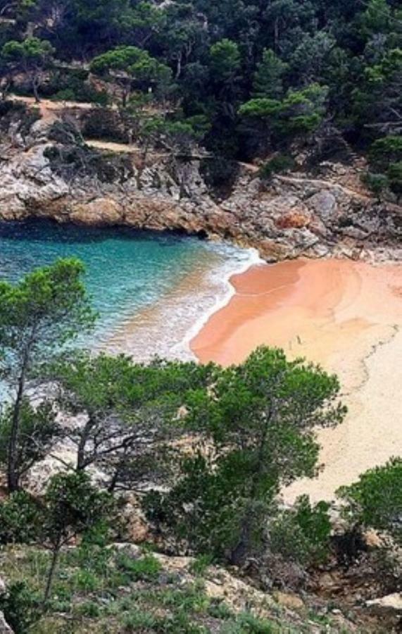 Cala Salions *