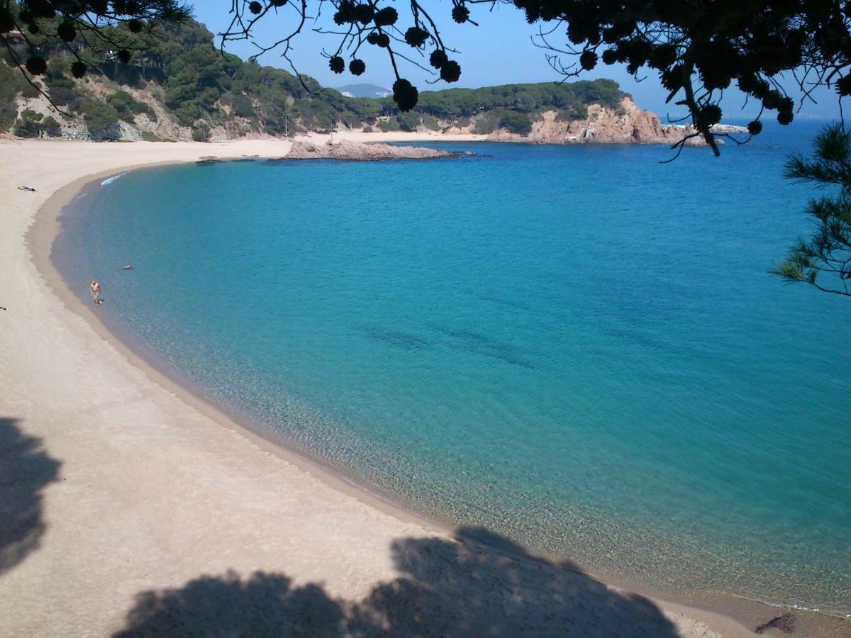 Sagaro Garden, Jardin Privado, Piscina, 150 M Playa