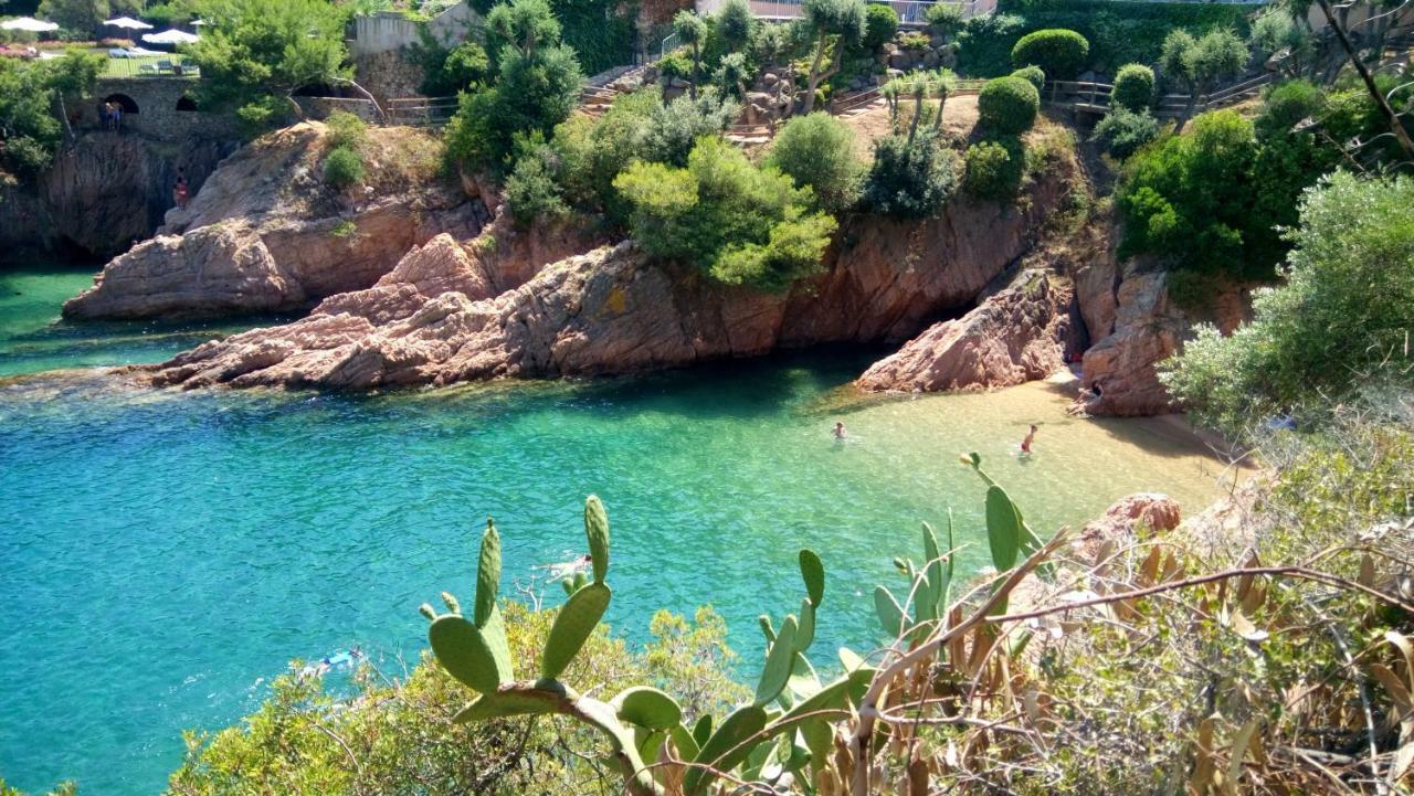 Apartamento Sagaro Garden, Jardin Privado, Piscina, 150 M Playa