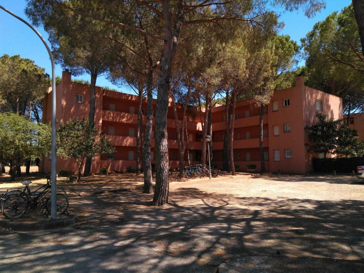 Bonito Apartamento, Con Piscina, Excelente Wifi Y Aire Acondicionado Apartment Pals