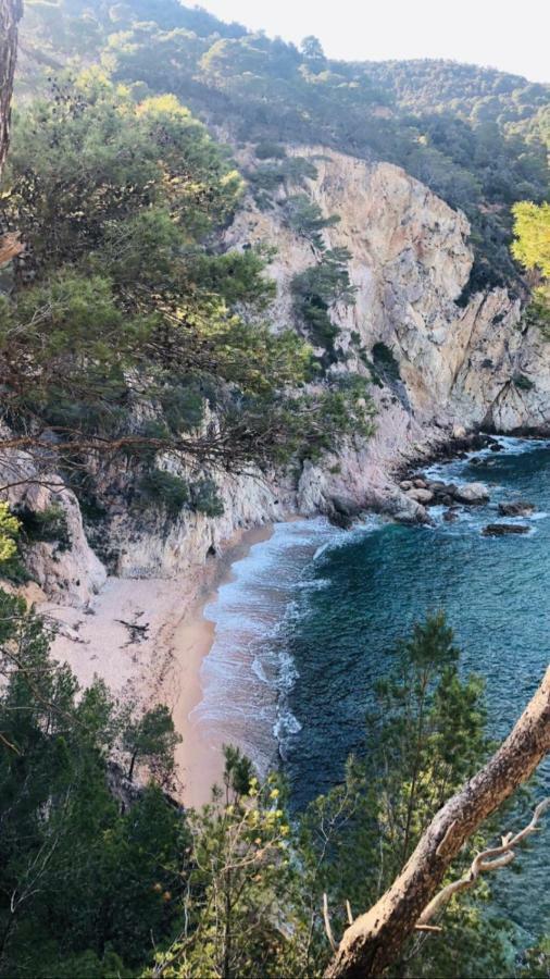 Cala Salions, Chalana I *