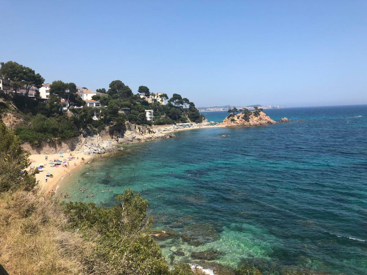 Excepcional 1ª Linea De Mar Elypalace 10-2
