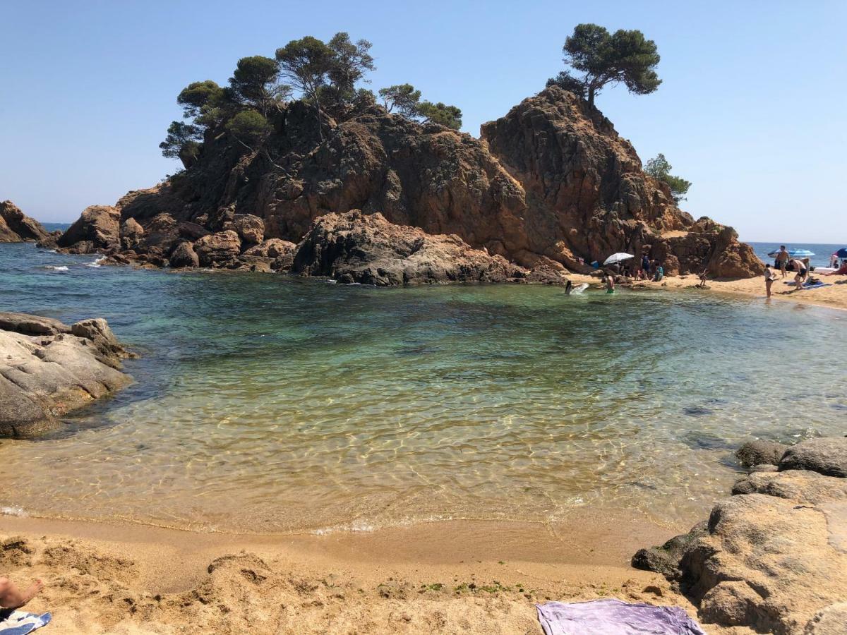 Excepcional 1ª Linea De Mar Elypalace 10-2