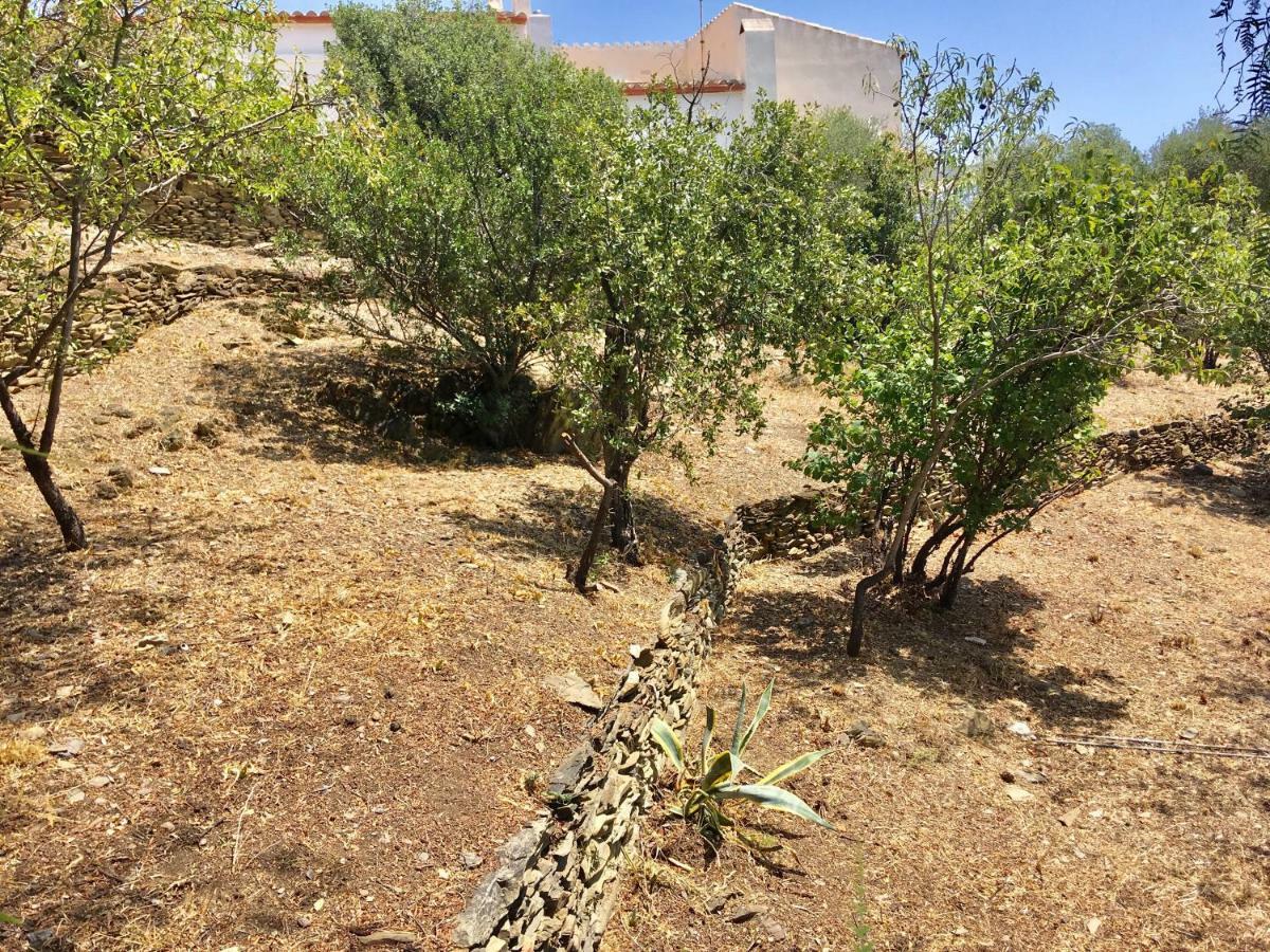 Apartamento Ses Terrasses Cadaqués