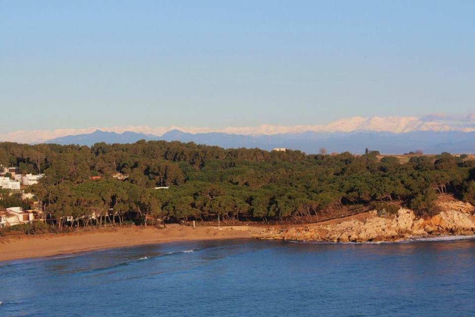 El Niuet