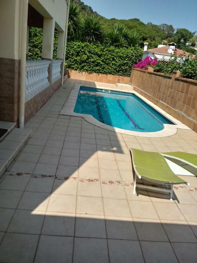 Palmeral