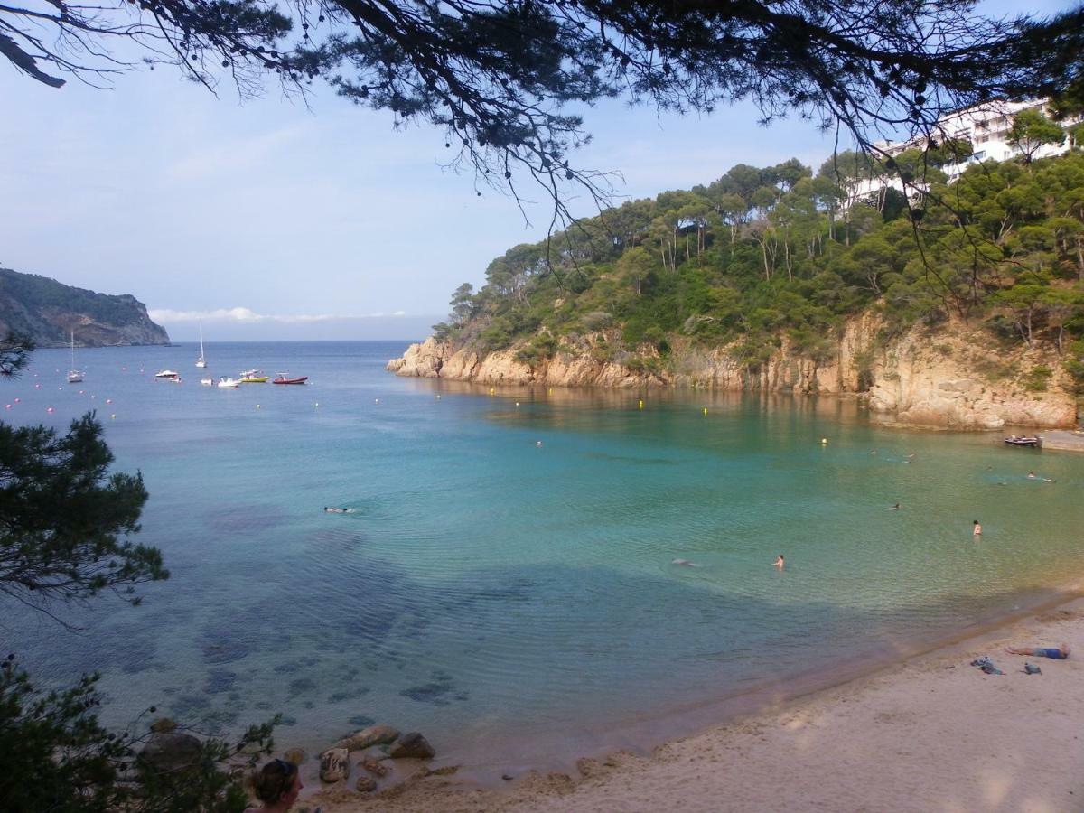 Apartment Perla Azul - Sa Riera/begur
