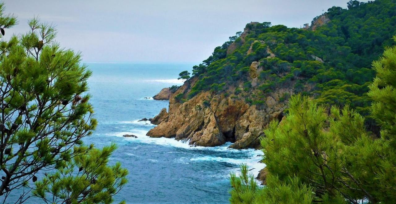 Salions Apartamento Tossa de Mar