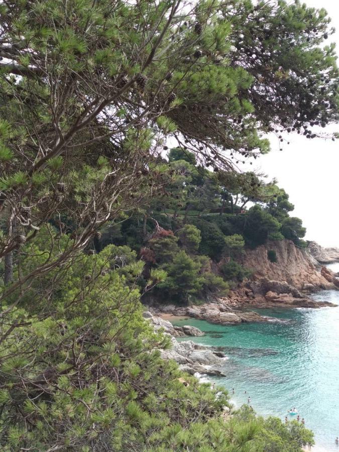 Apartment Cala Salions, Chalana I Girona
