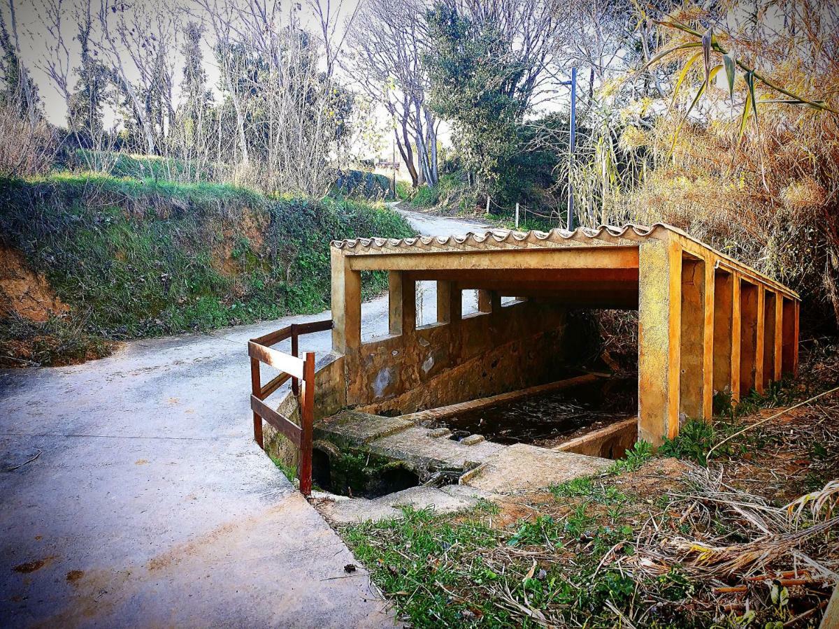 Country house Cal Xaiet Llampaies